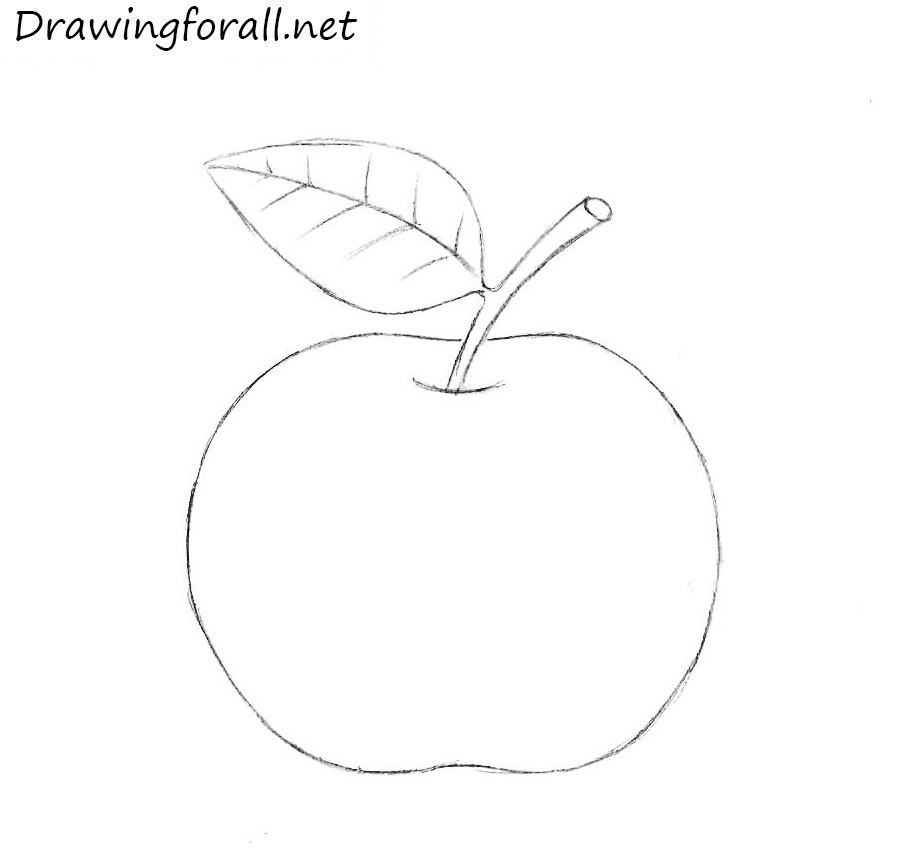 green apple sketch