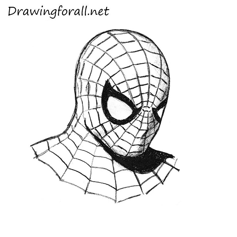 Featured image of post Spider Man Outline Drawing Begin to detail your character