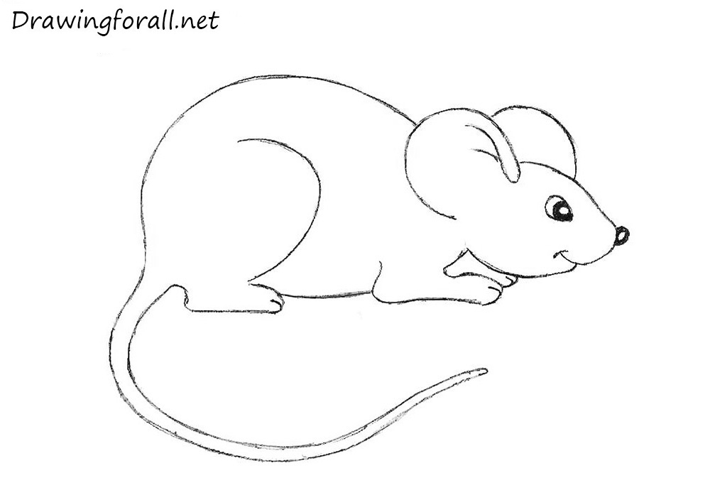 How to Draw a Mouse For Beginners | Drawingforall.net