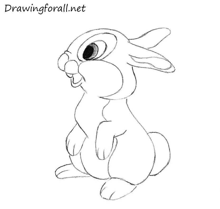 How to Draw a Rabbit for Kids | Drawingforall.net