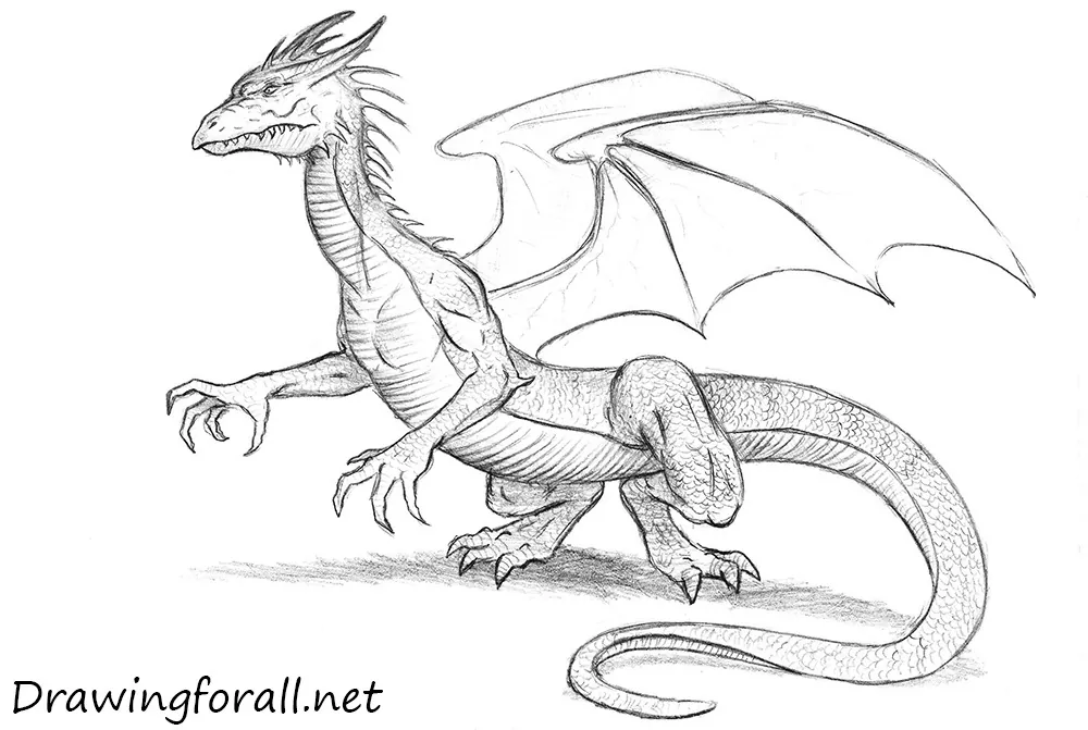 How to Draw a Dragon | Drawingforall.net