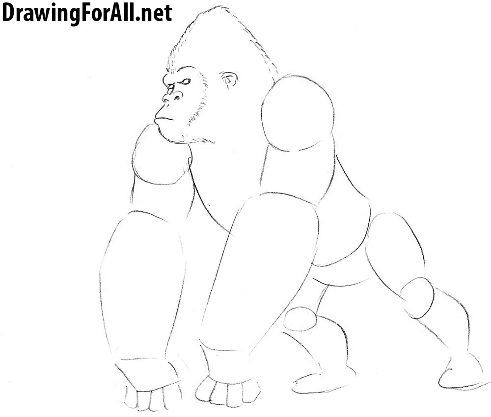 Featured image of post How To Draw A Gorilla : To start, draw a bean shape that will be the body.