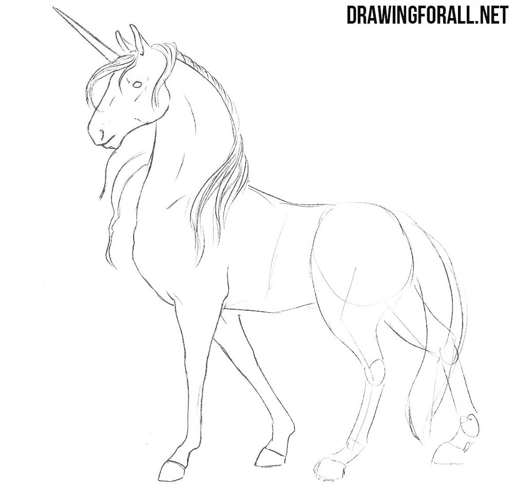 How to Draw a Unicorn | Drawingforall.net