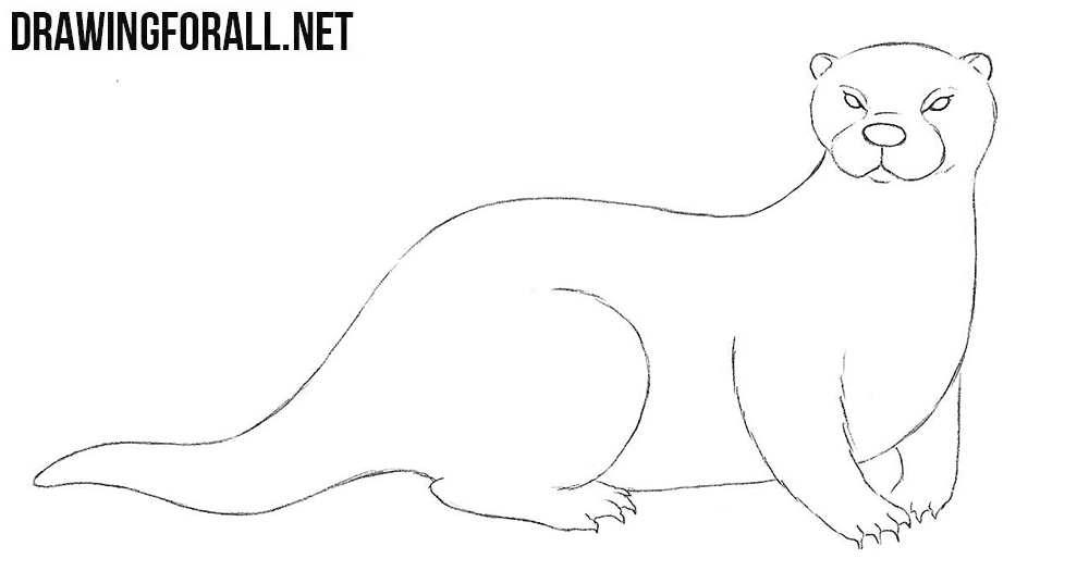 Featured image of post Simple Otter Line Drawing On a low resolution display it will appear stepped like a staircase because the positions of screen a simple approach to scan convert a line is to first scan convert p1 and p2 to pixel coordinates x1 y1 and x2 y2 respectively