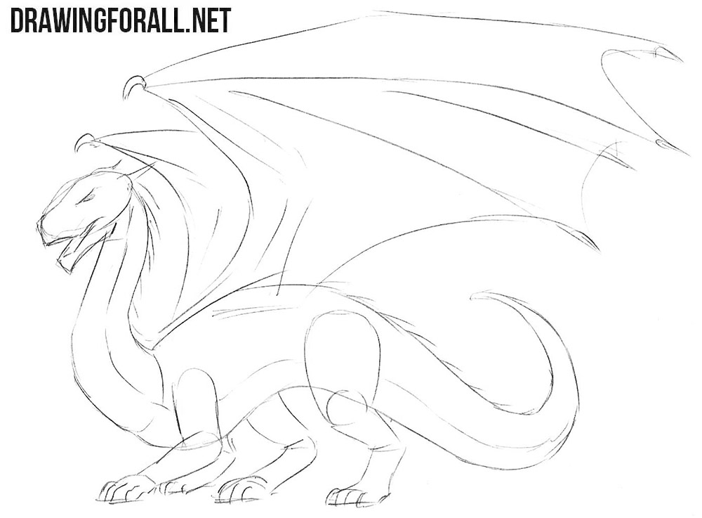 Animal How To Draw Dragon Sketches for Kindergarten
