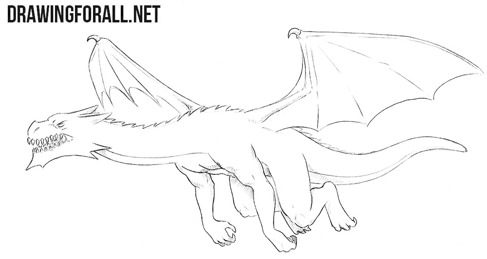 Featured image of post Realistic Dragon Drawing Outline I wanted to have a good idea on how i will approach the texturing and shading of the skin