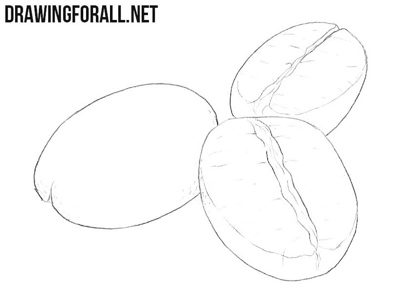How to Draw Coffee Beans | Drawingforall.net
