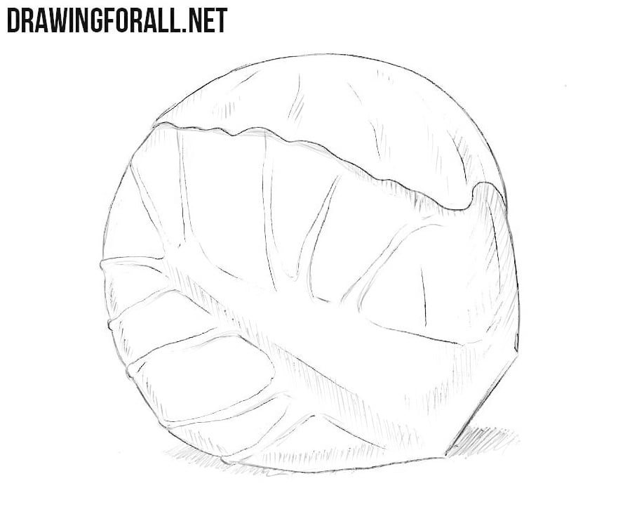 How to Draw a Brussels Sprout | Drawingforall.net