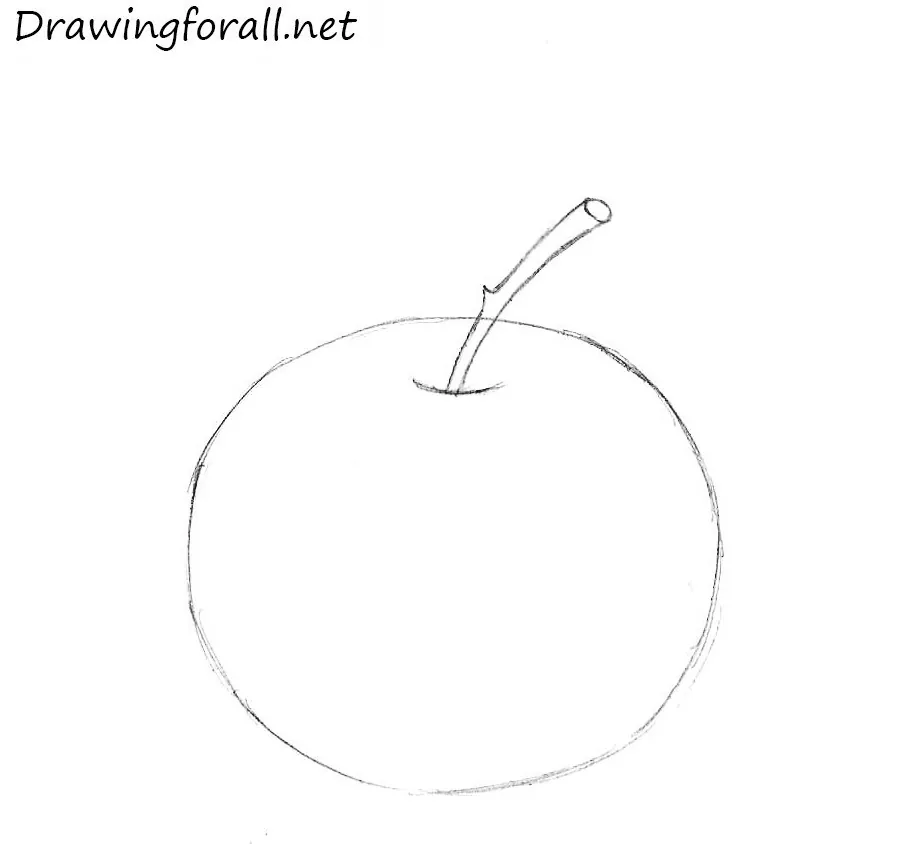 How to Draw an Apple for Beginners step by step