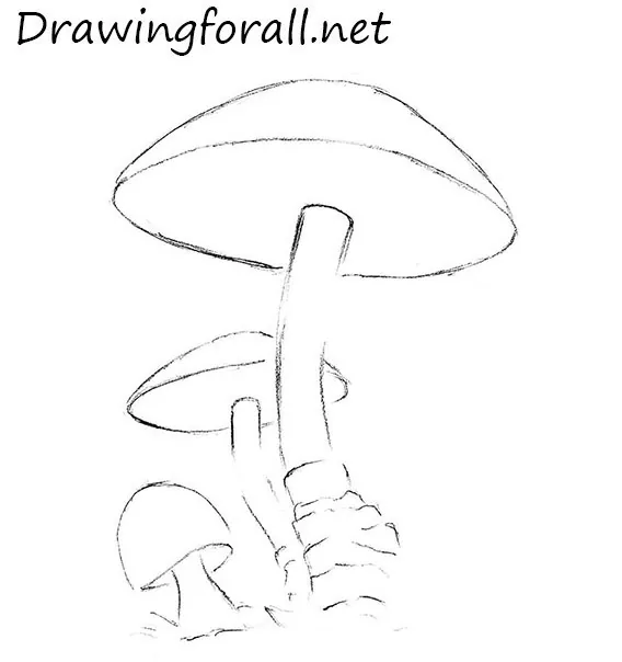 how to draw mushrooms