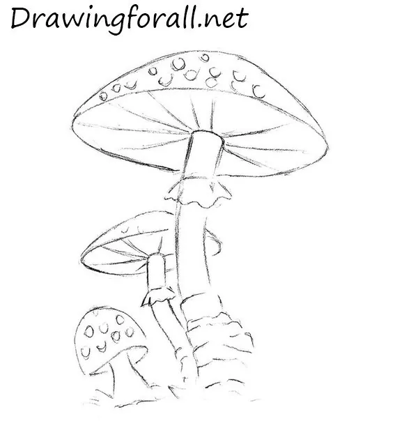 drawing mushrooms