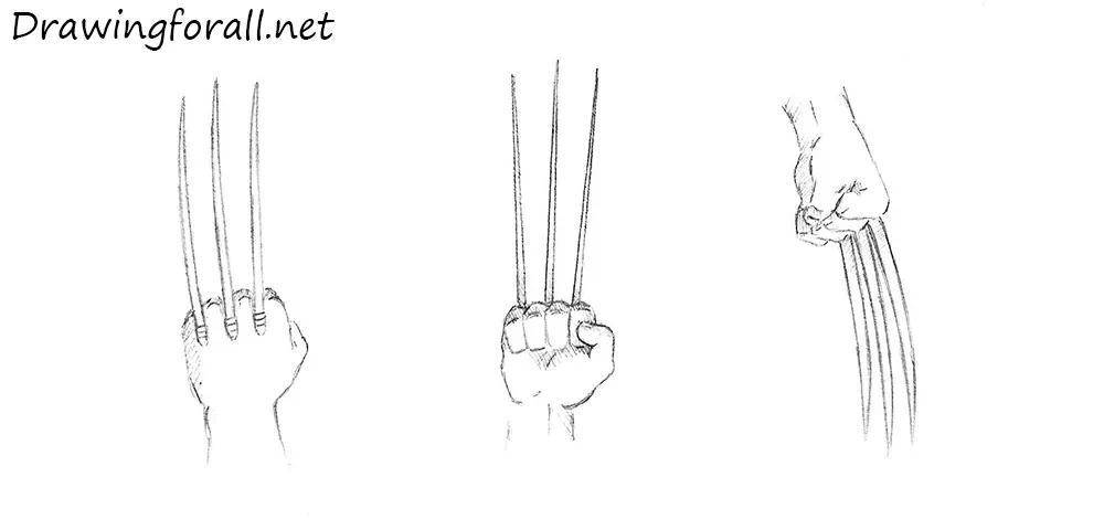 wolverine's claws drawing