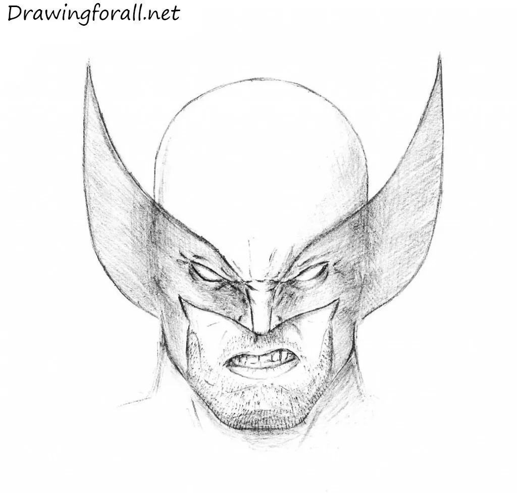 How to Draw Wolverines Head