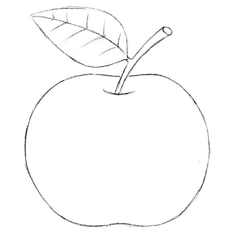 How to Draw an Apple - A Tutorial for Making a Realistic Fruit Sketch