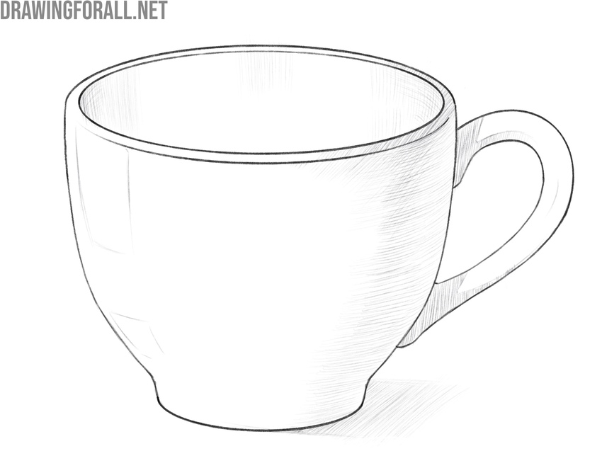 Review proportions and finalize the cup drawing