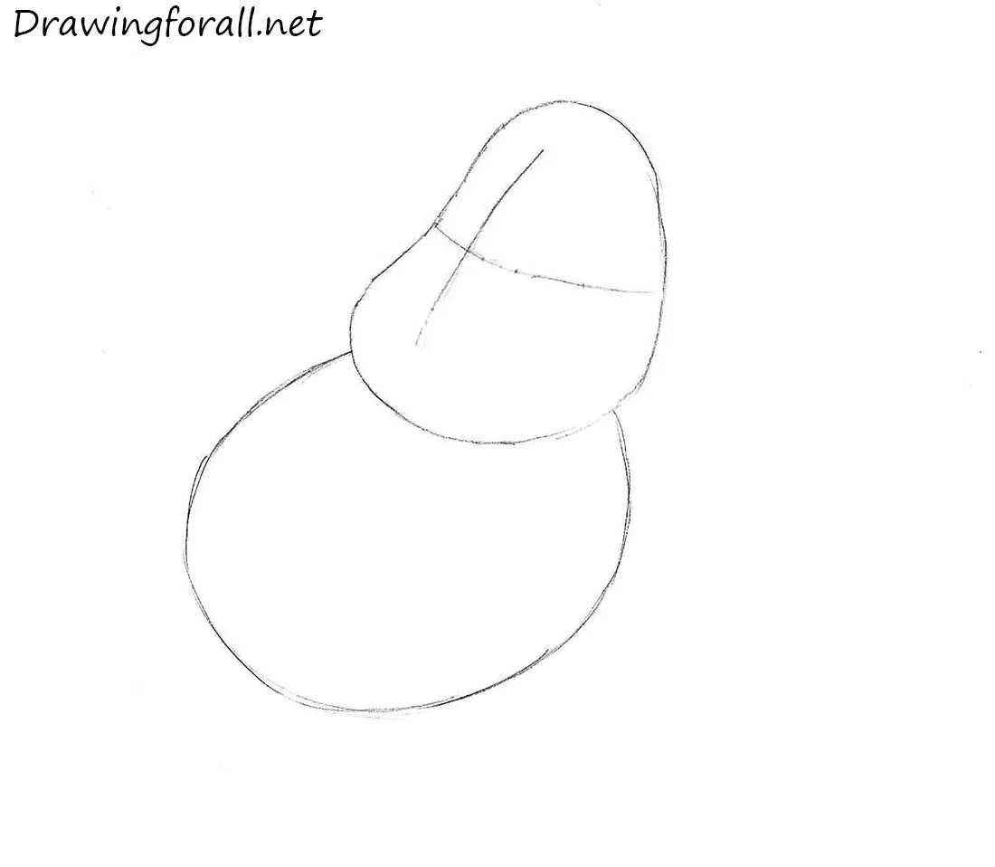 Sketch the simple shape of the body