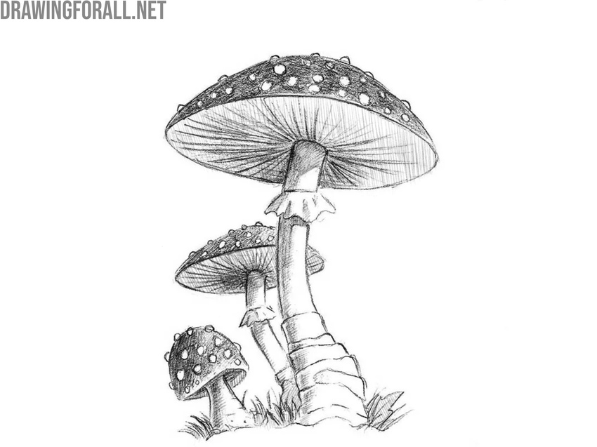 Add shadows with smooth hatching