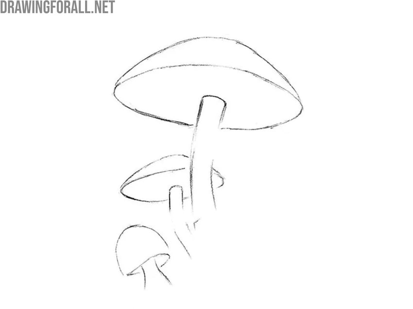 Draw the upper edges of the mushrooms