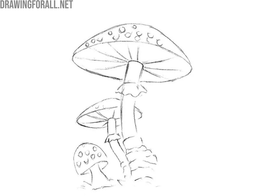 Draw the gills of the mushrooms