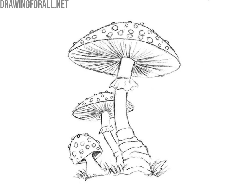 Draw grass below the mushrooms