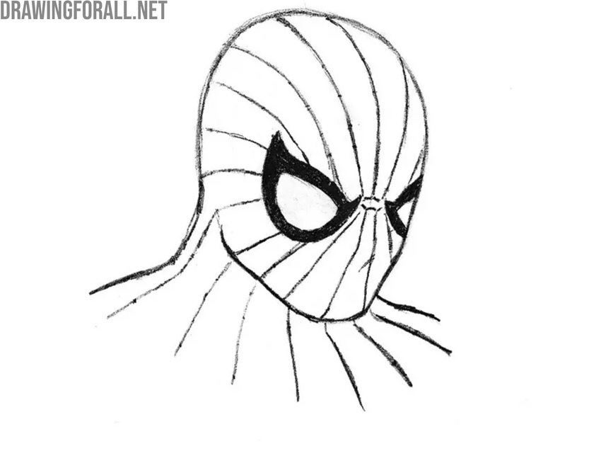 Sketch the vertical web lines on the mask