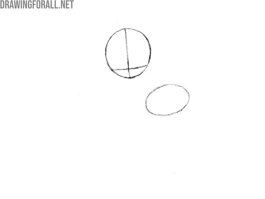 Sketch the torso of the little pony