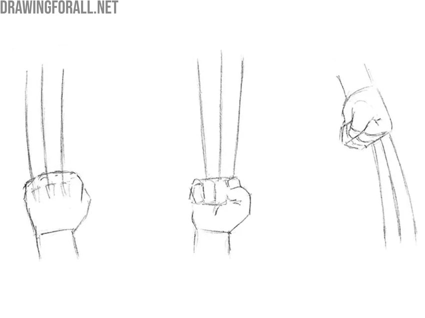 Detail the fists of Logan