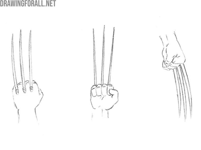 Draw out Wolverine claws and hands in detail