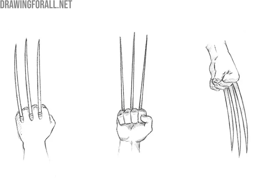 Add shadows and highlights to the claws