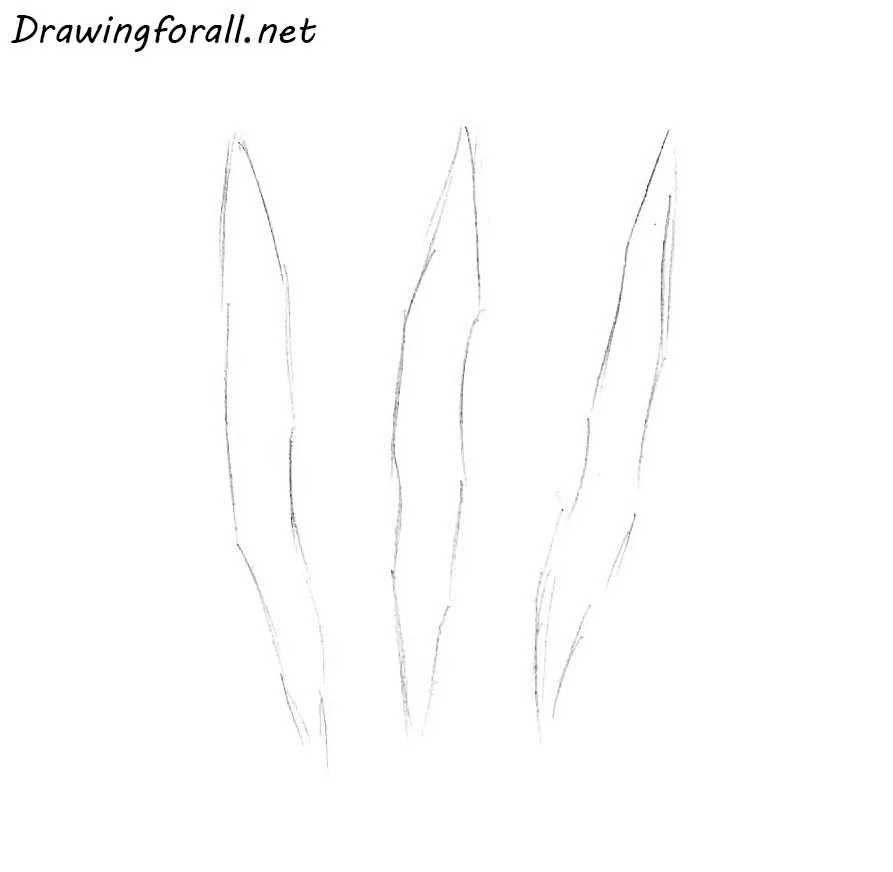 how to draw wolverine claw marks