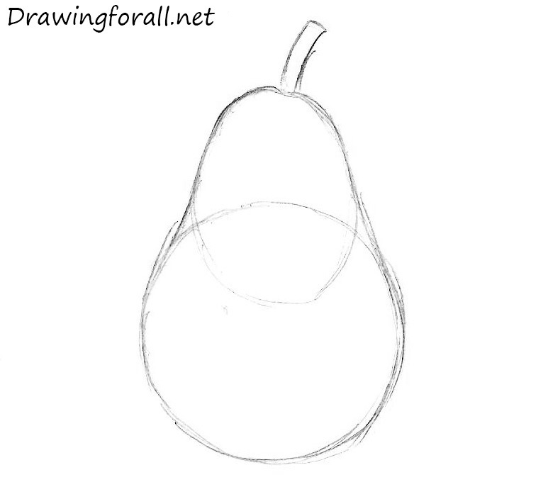 how to draw a pear for a beginner artist