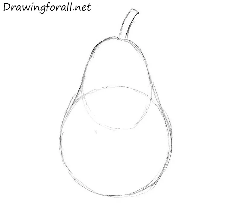 how to draw a pear for a beginner artist