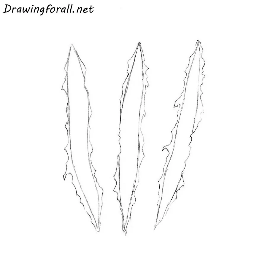 how to draw wolverine clawmarks step by step