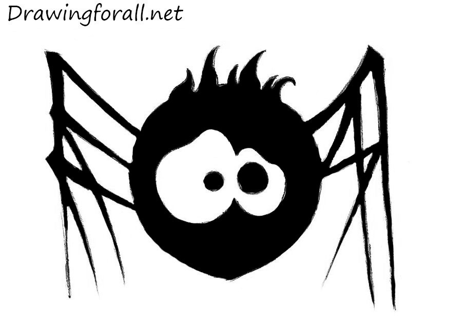 drawing spider for kids