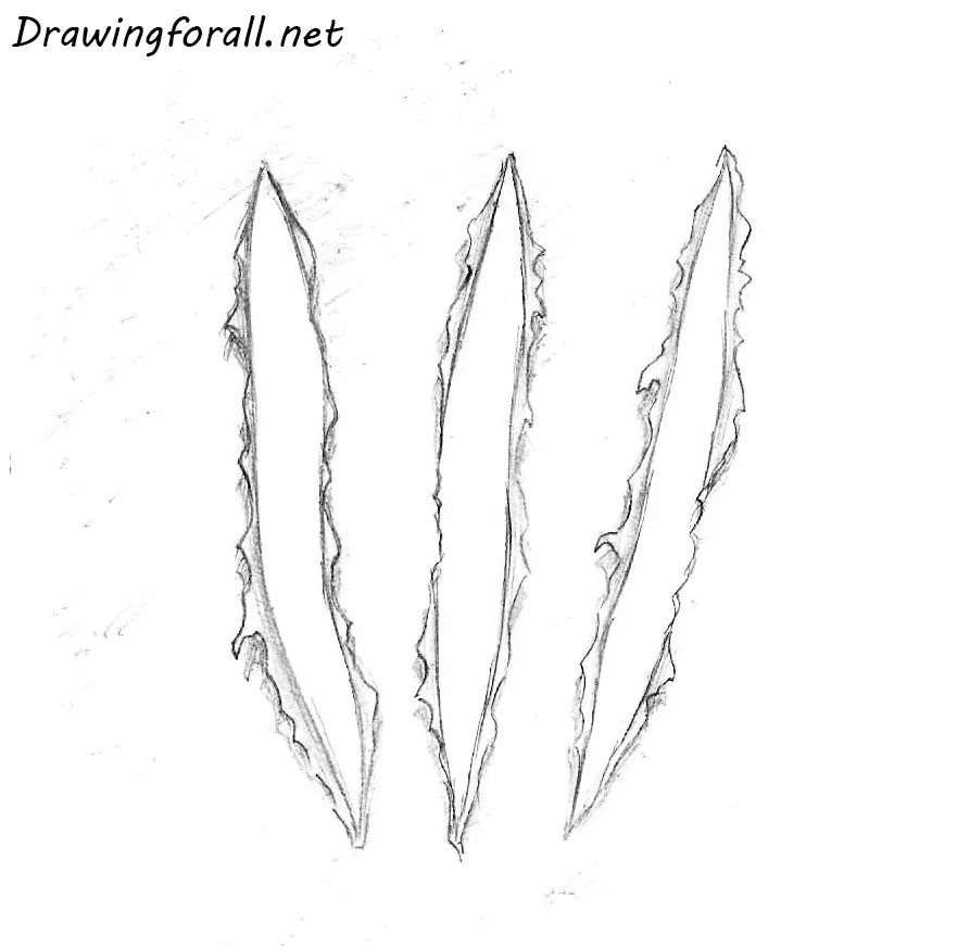 how to draw claw marks