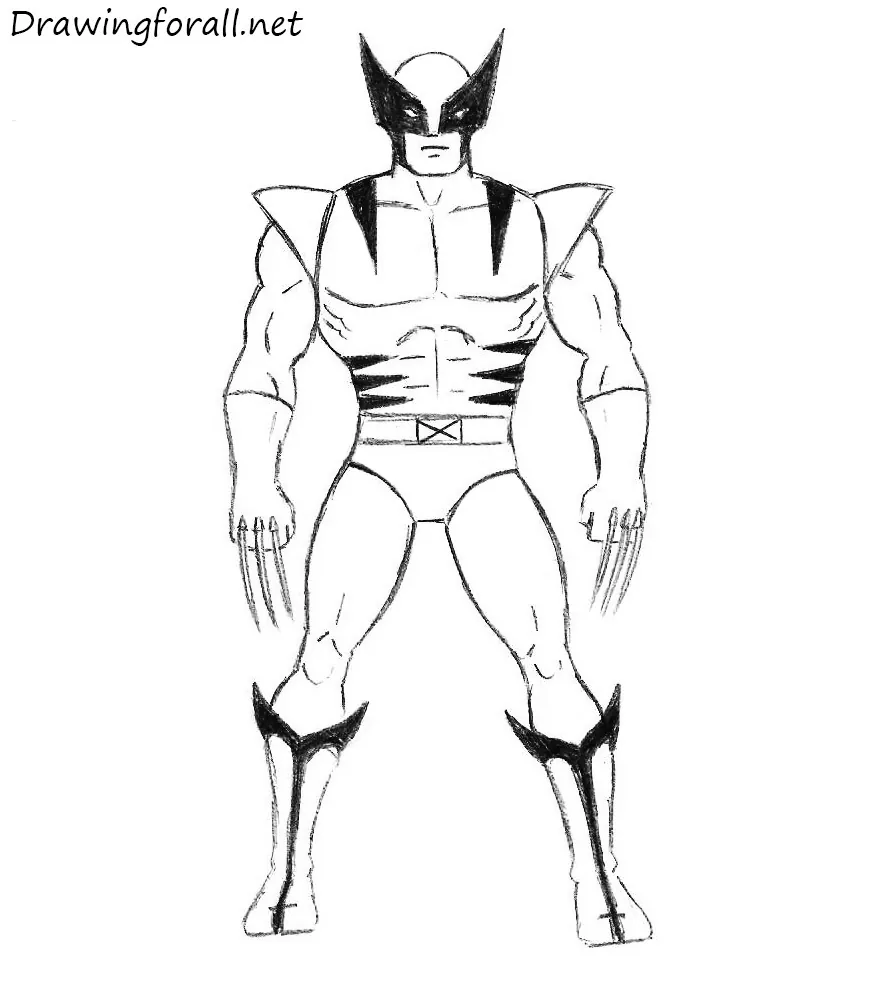 Wolverine Drawing  How To Draw Wolverine Step By Step