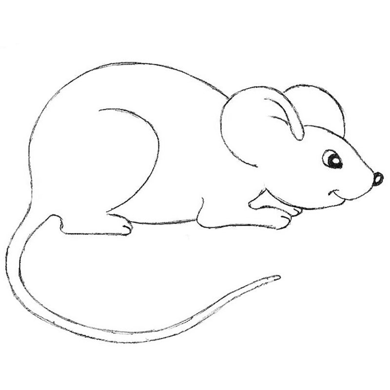 How to draw a cartoon mouse cute and easy - Easy animals to draw