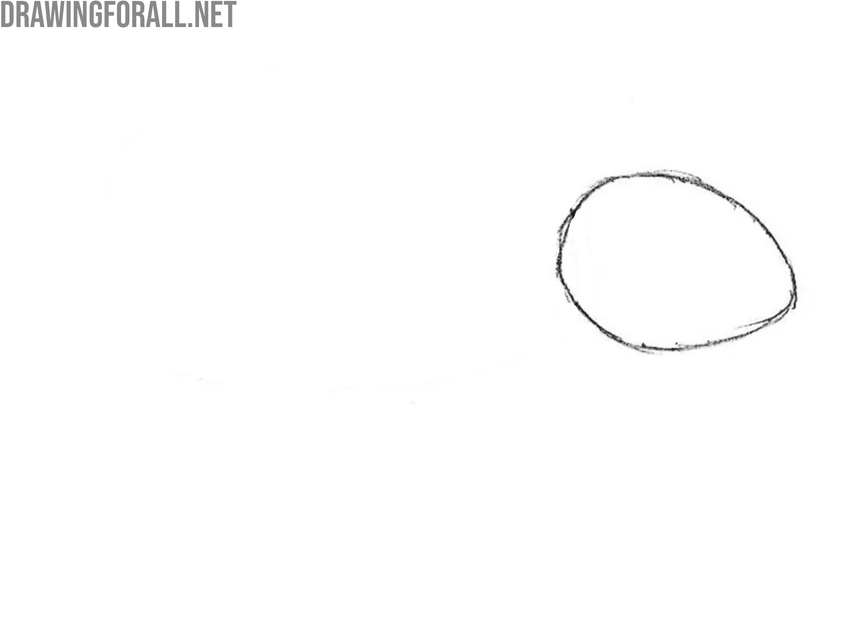 Sketch the cartoon rodent’s oval head shape