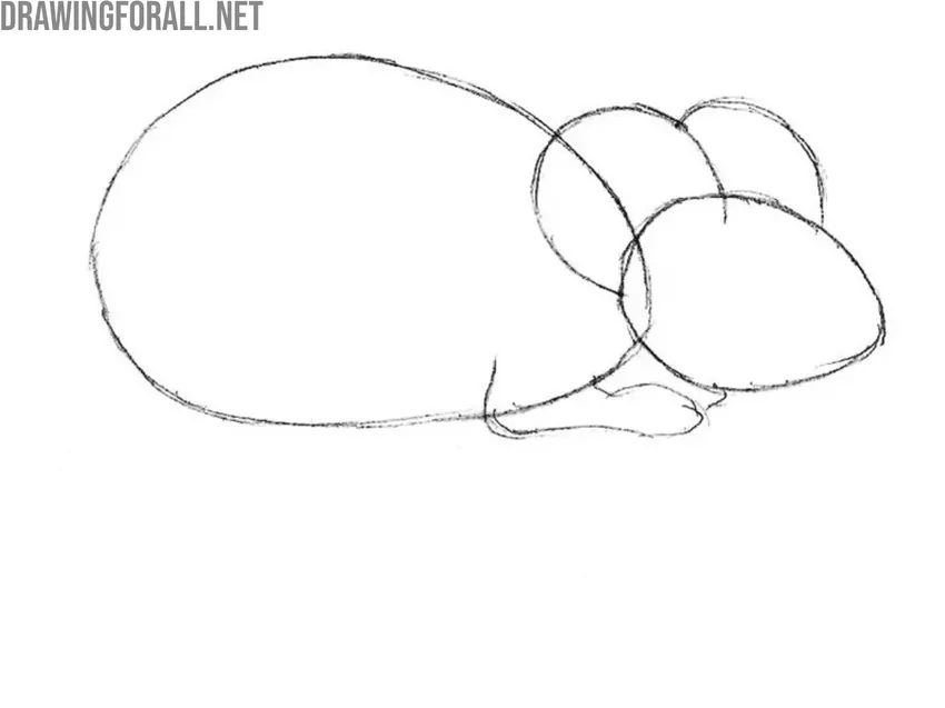 Draw the cartoon mouse ears and front limbs