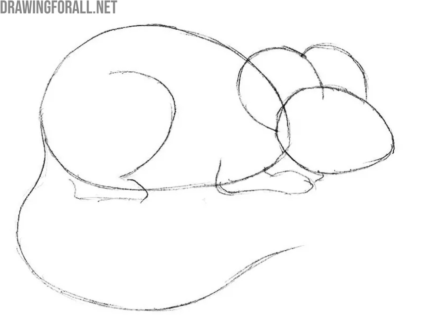 Sketch the hind leg and long tail