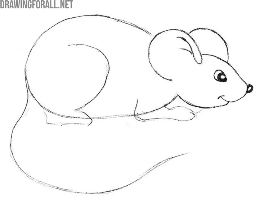 Complete the head and pain the eye