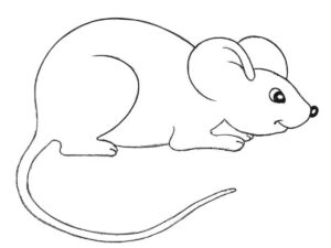 how to draw a cartoon mouse featured image