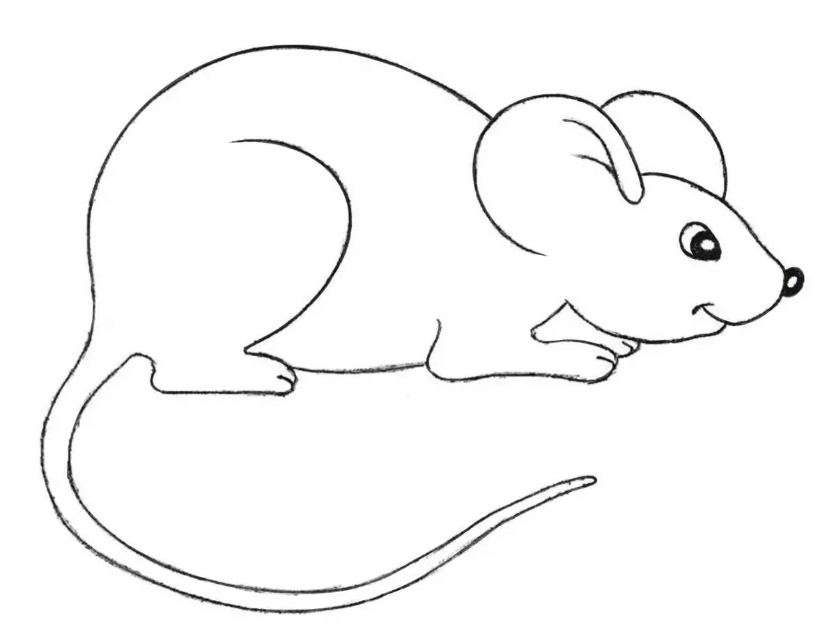 how to draw a cartoon mouse featured image