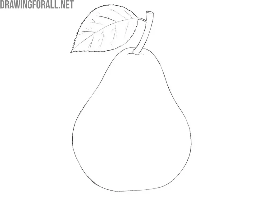 Add veins to the leaf