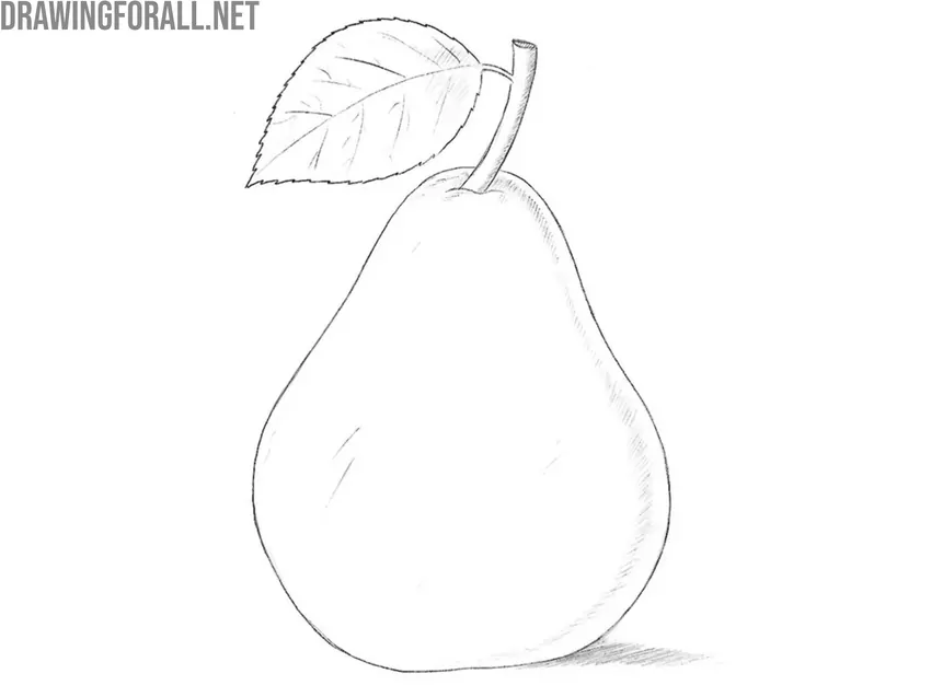 Apply smooth, dimensional shadows