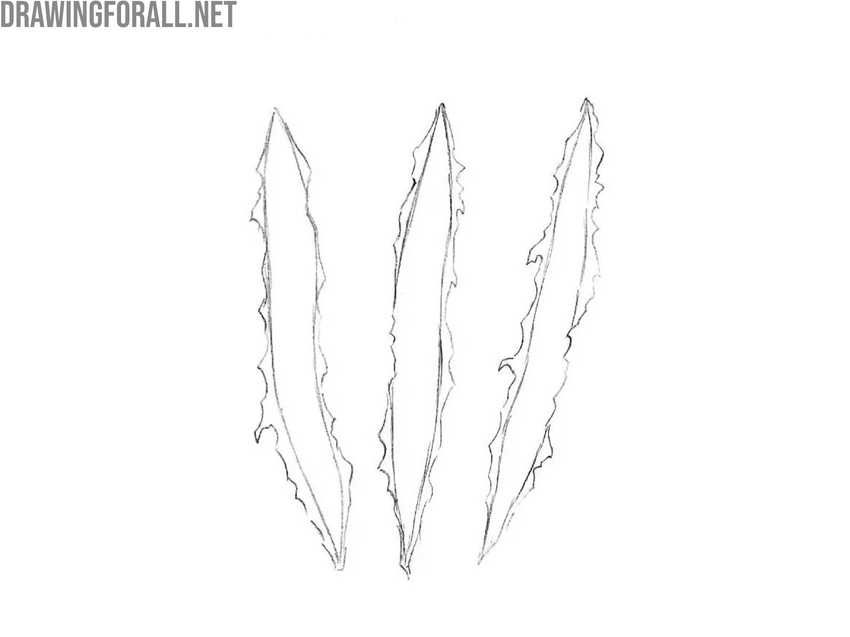 Draw out Wolverine claw marks in detail