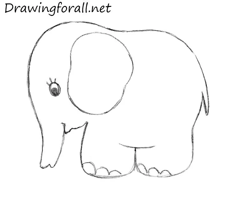 How to draw an enephant for kids