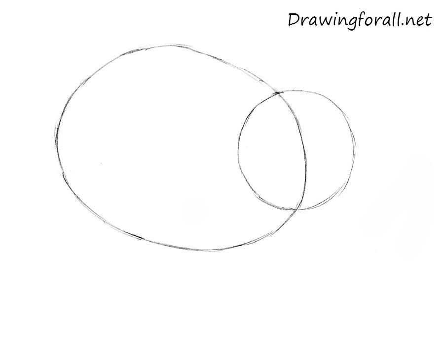 how to draw a pig easy