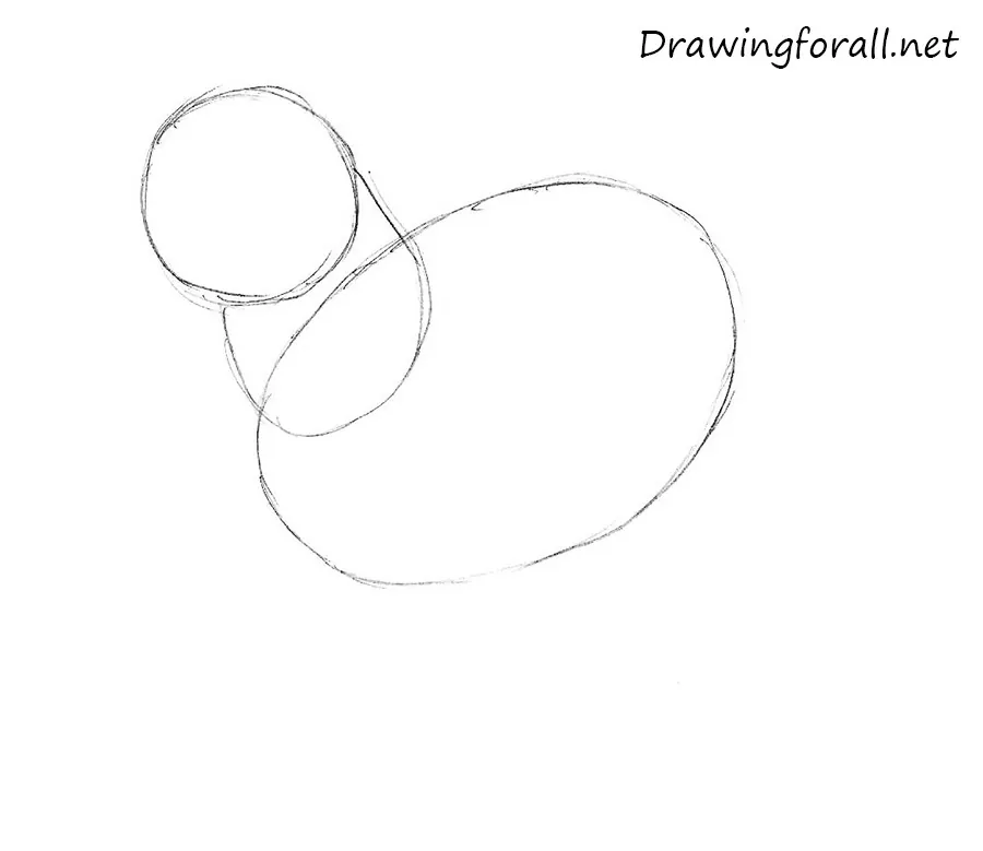 how to draw a sheep