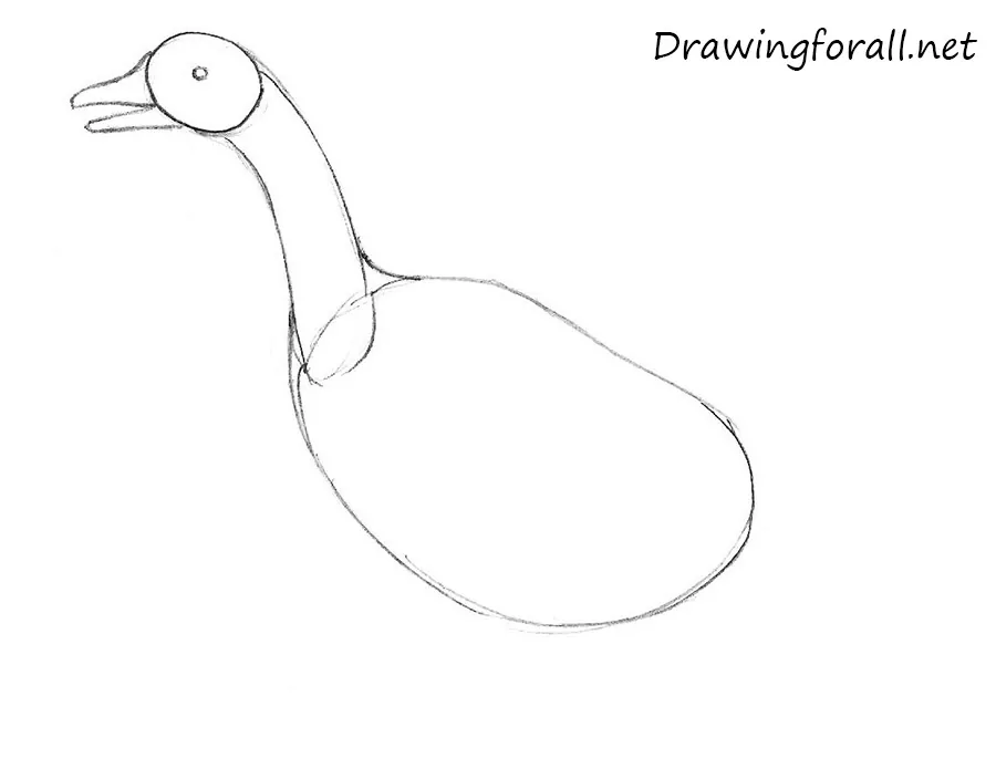 How to Draw a Goose for kids
